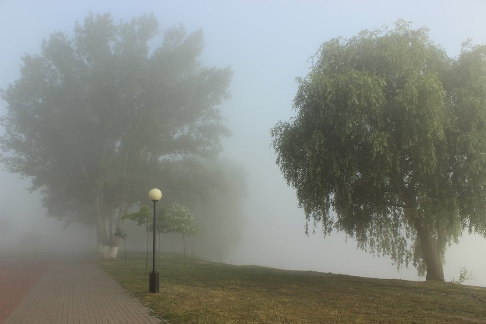 Аллея утром