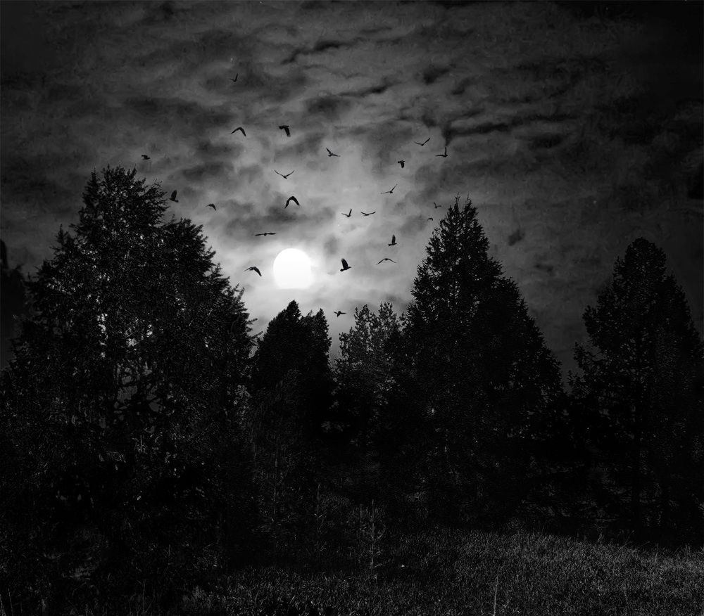 Волчье солнце