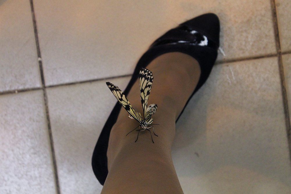 Photograph by Галина