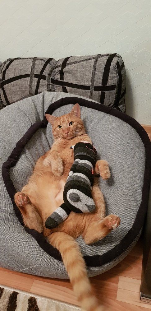 Photograph by Владислав Шигера