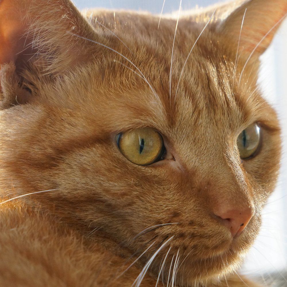 Photograph by Владислав Шигера