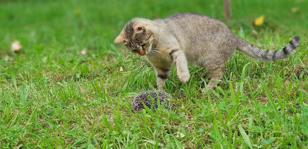 Photograph by Владислав Шигера