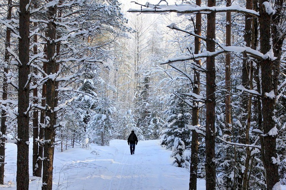 Зимняя дорога