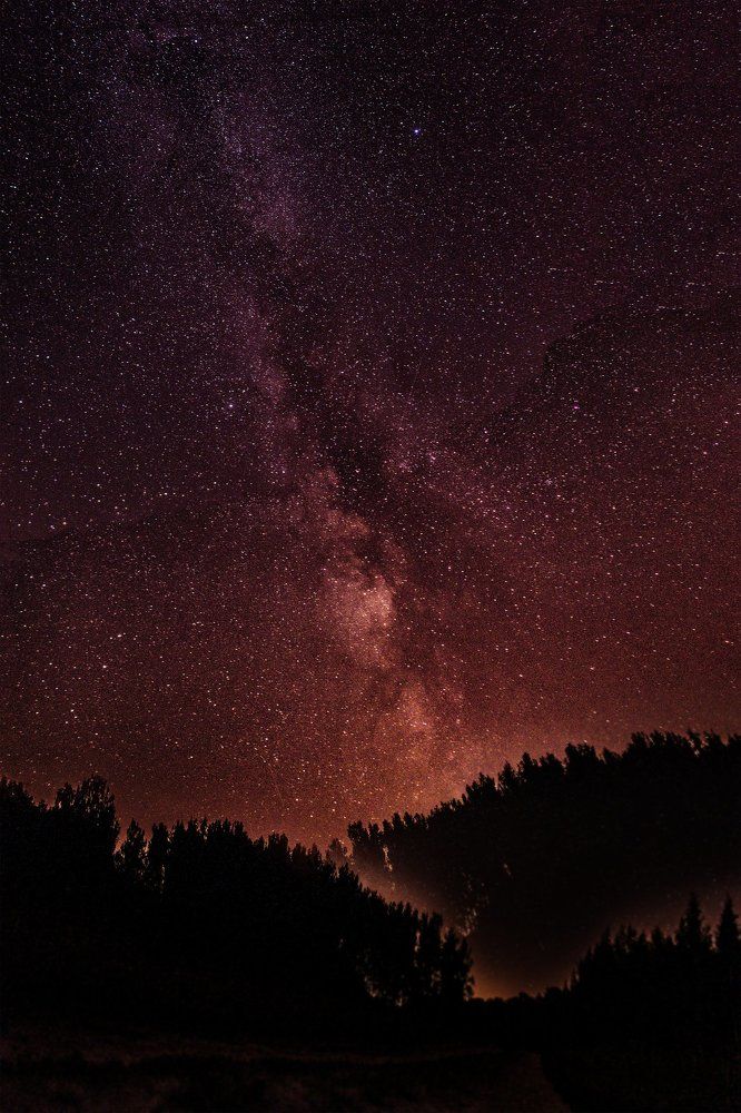 Photograph by Екатерина