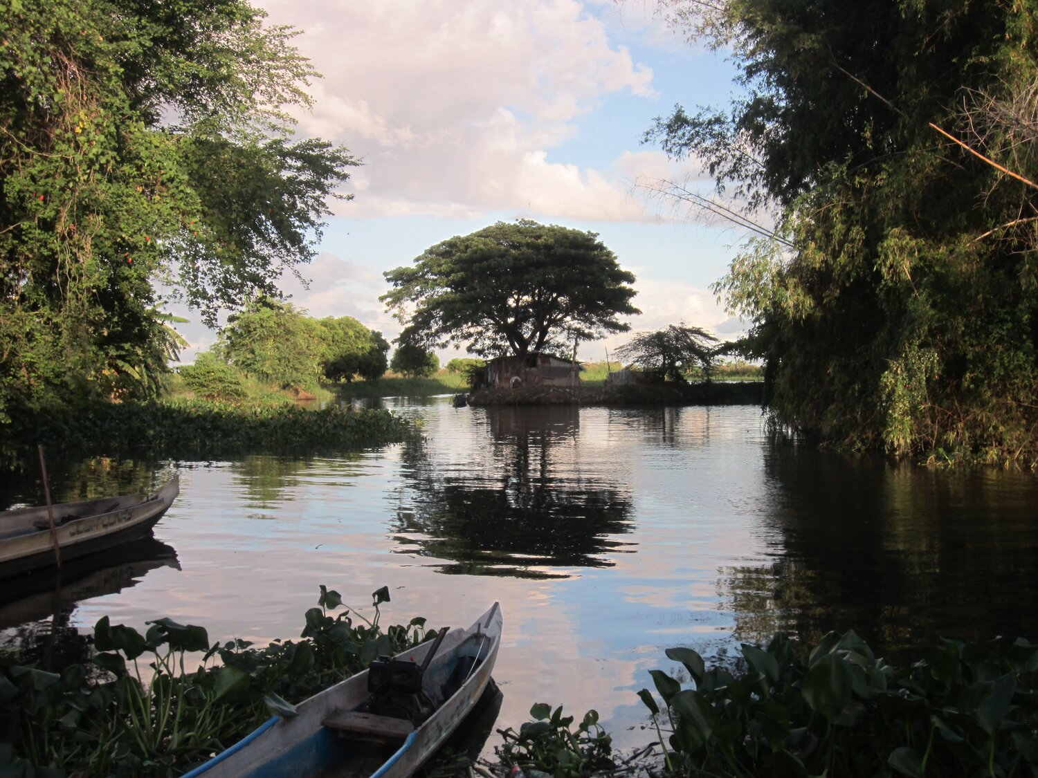 Little boat on the river