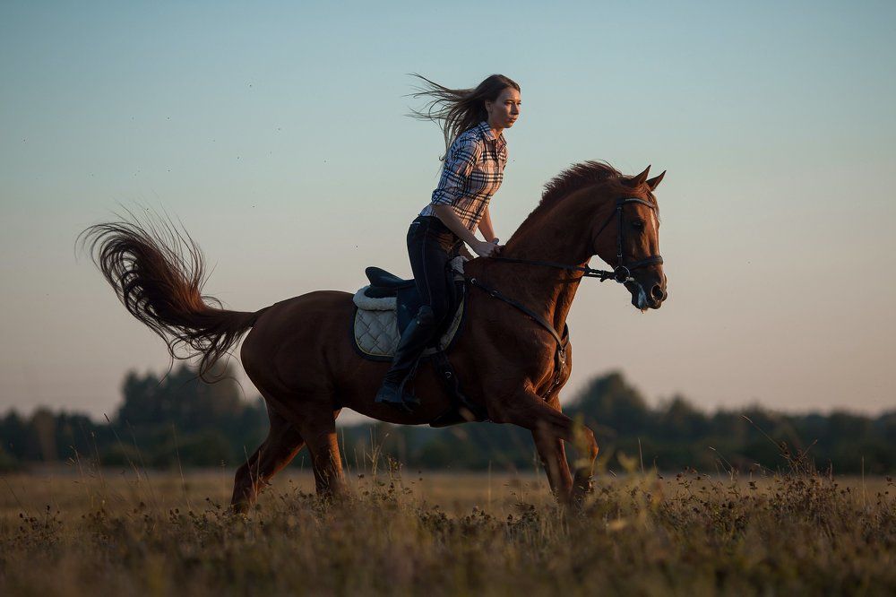 Конный спорт