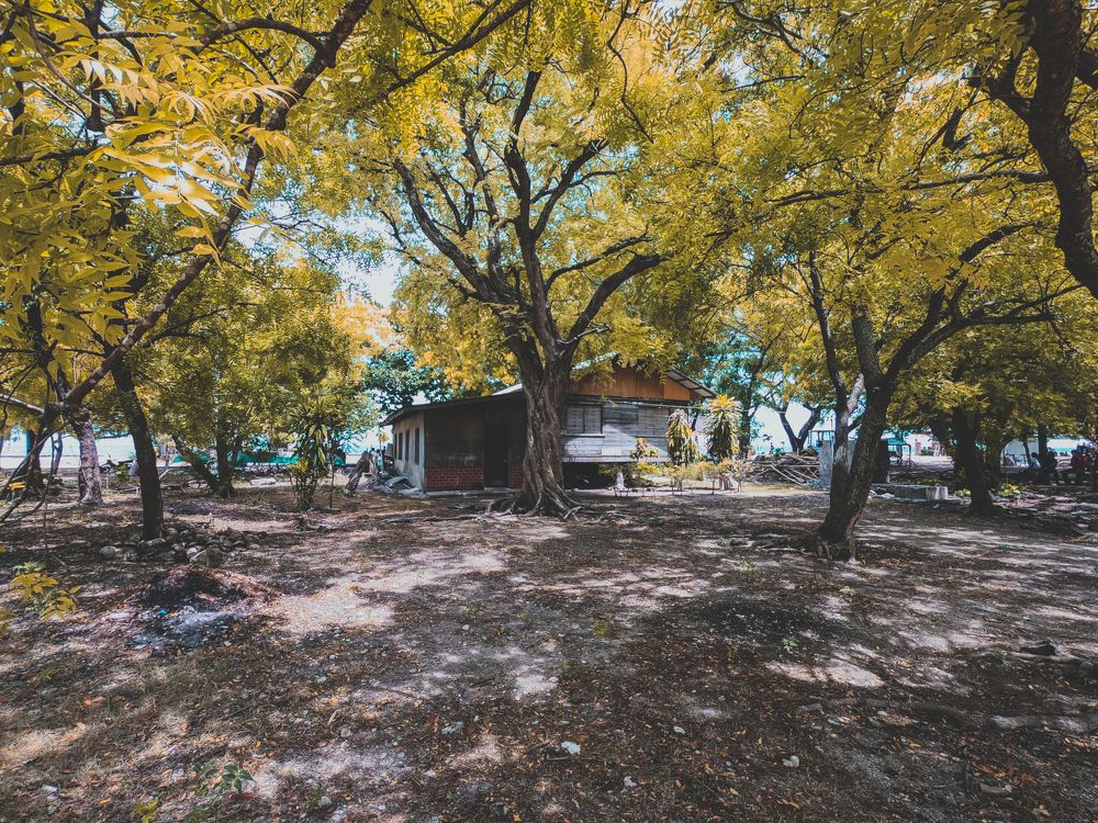 Simple x Extraordinary