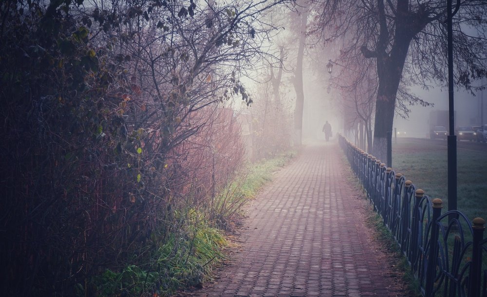 Photograph by Павел Стаценко