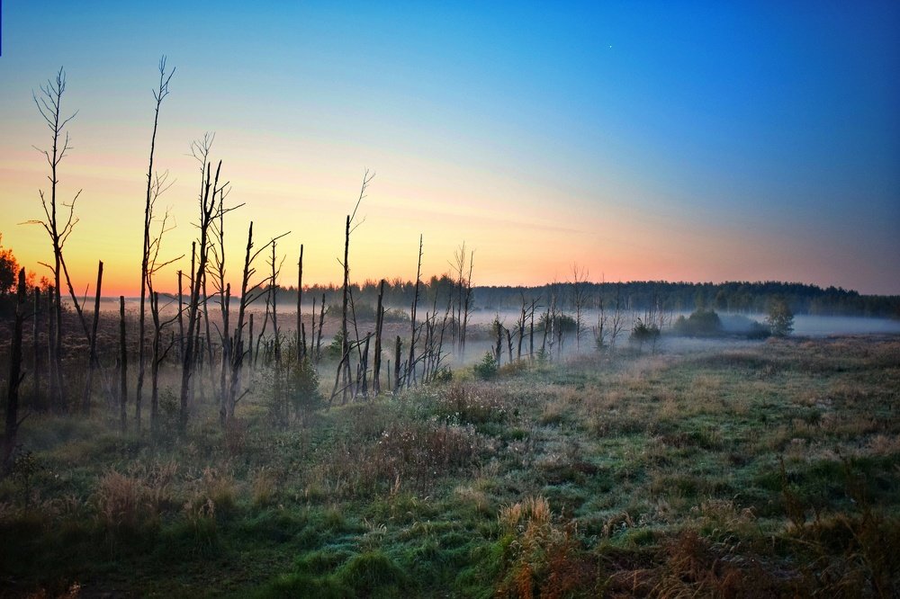 Photograph by Павел Стаценко