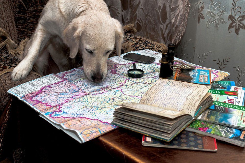 куда уехала моя хозяйка?