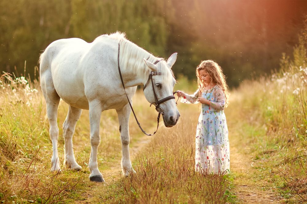 Первое знакомство