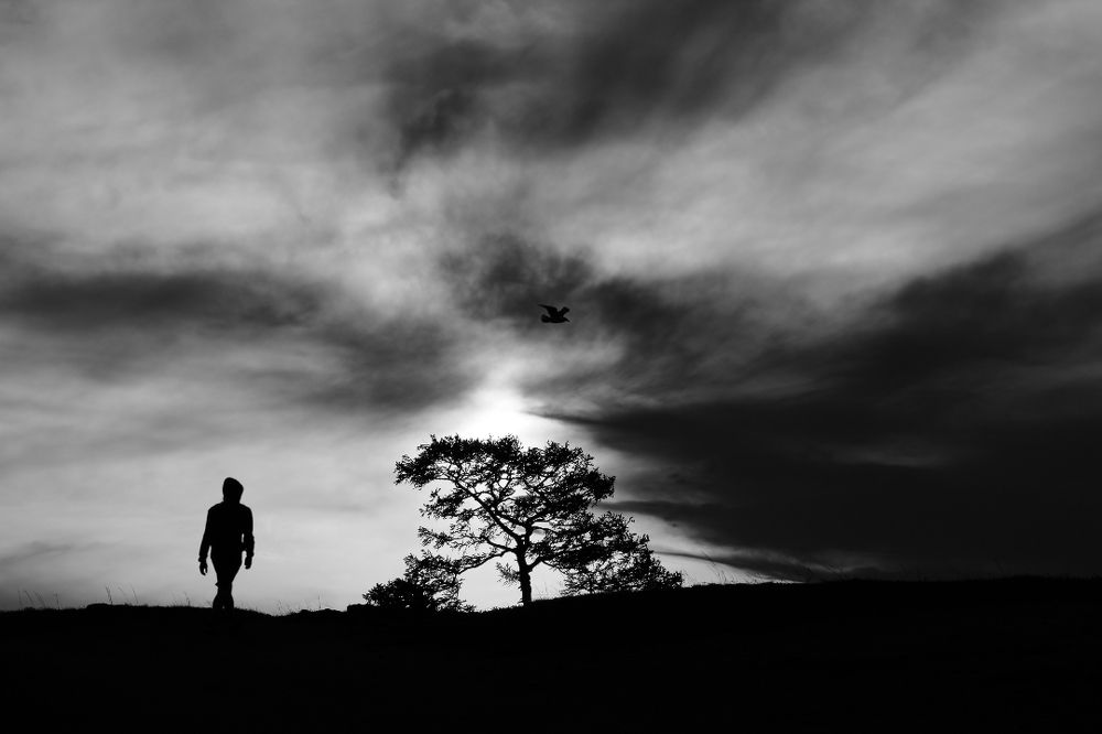 Сосуществование...