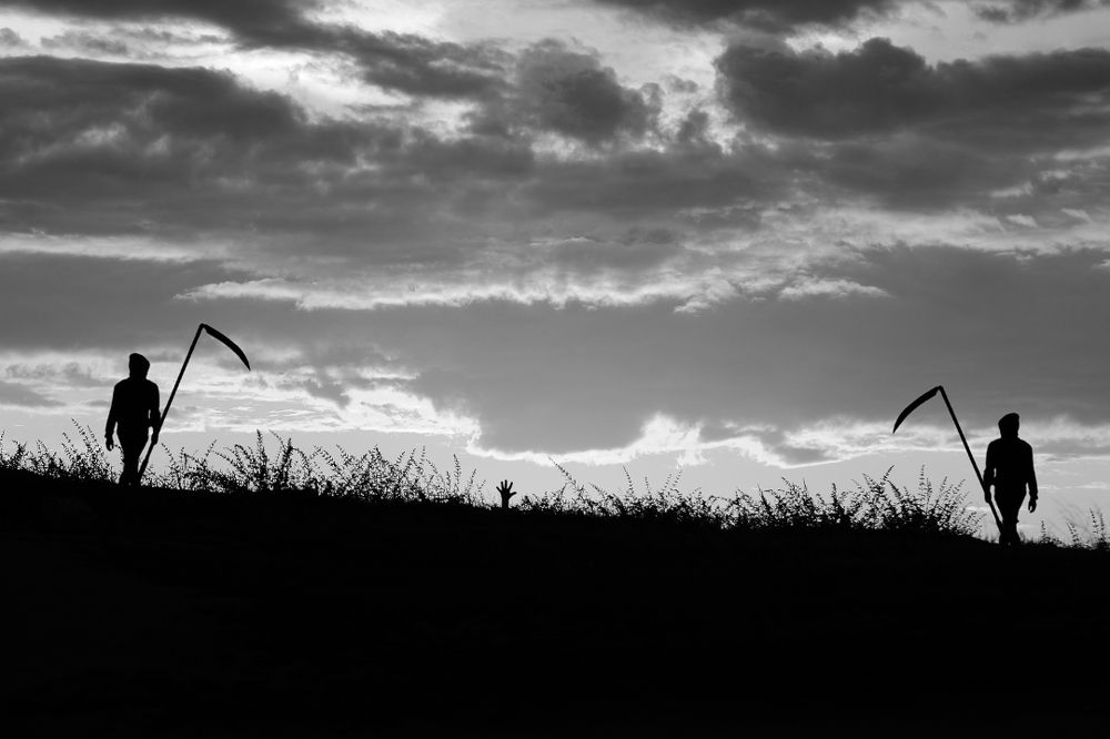 Время жатвы...