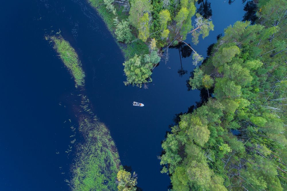 Природа ХМАО-Югры