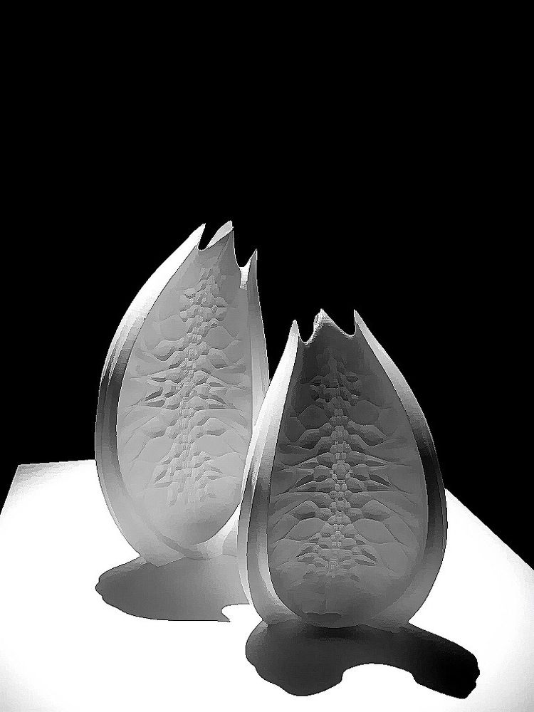 Photograph by Tatiana