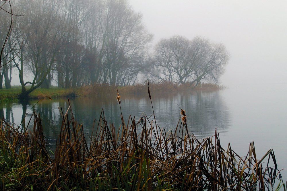 Глубокая осень