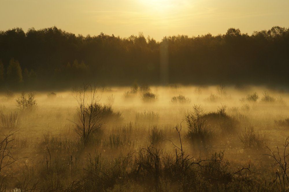 Рассветные духи