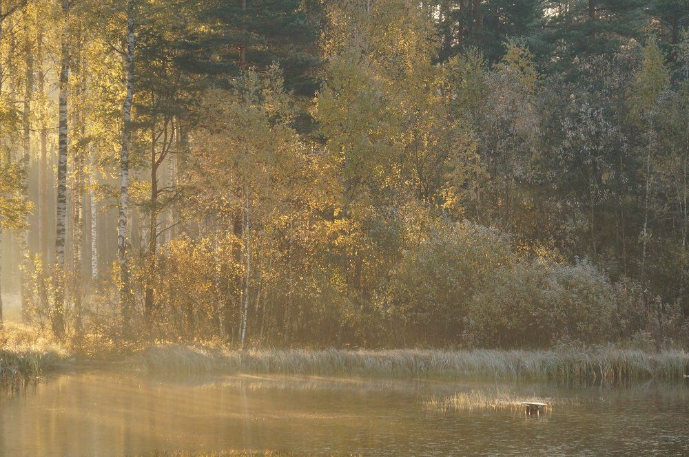 Первый заморозок