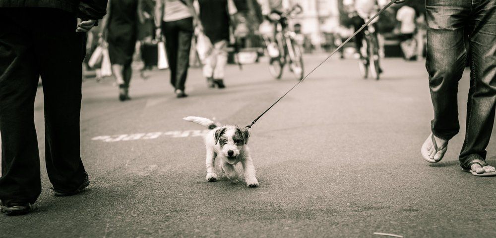 В мире людей