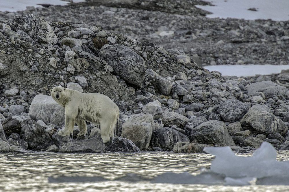 Photograph by Dmitry Gorbachev