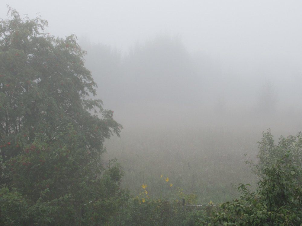 Вид из окна...прогулка отменяется... (The view from our window... the walk is canceled...)
