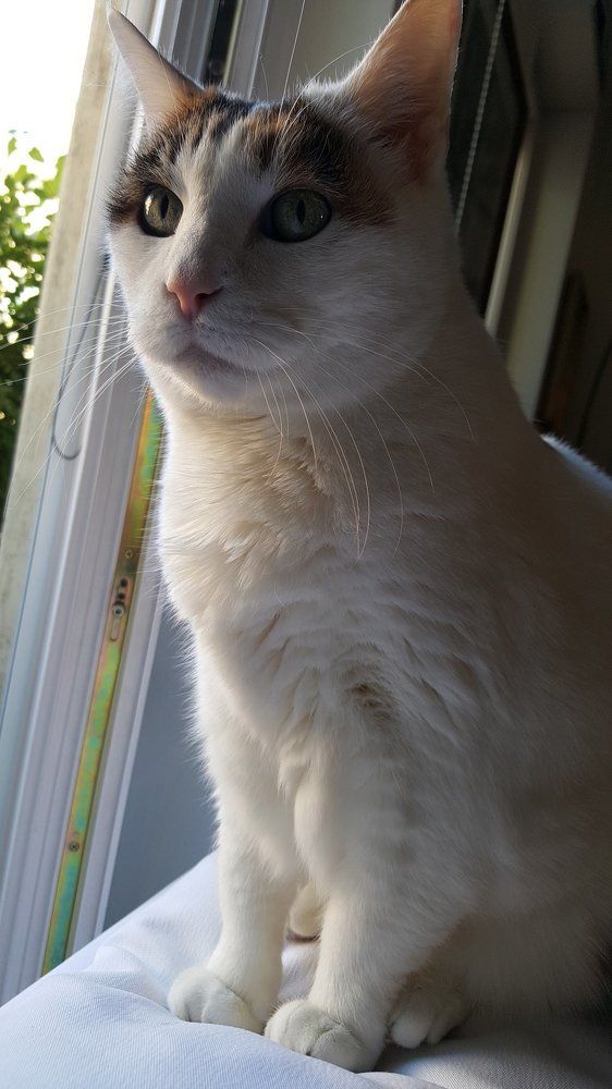 Photograph by Юлия