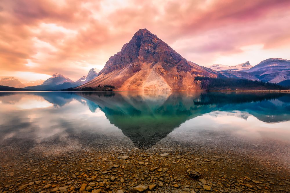 Bow Lake Reflection