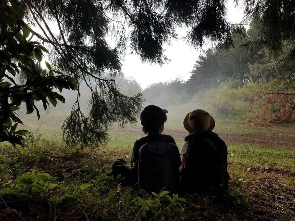 Ёжики в тумане.