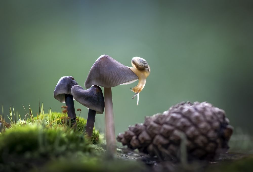 Кто не спрятался, я не виновата