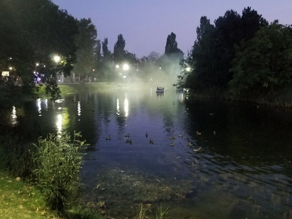 Туман над озером.