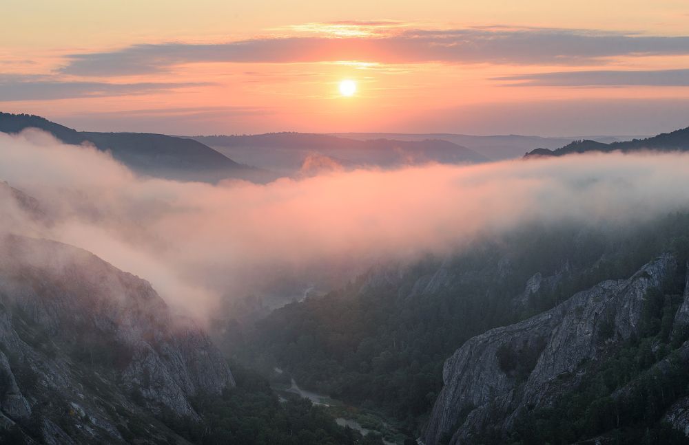 розовый туман