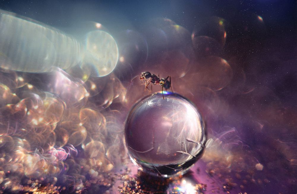 Photograph by Тарасова Ольга