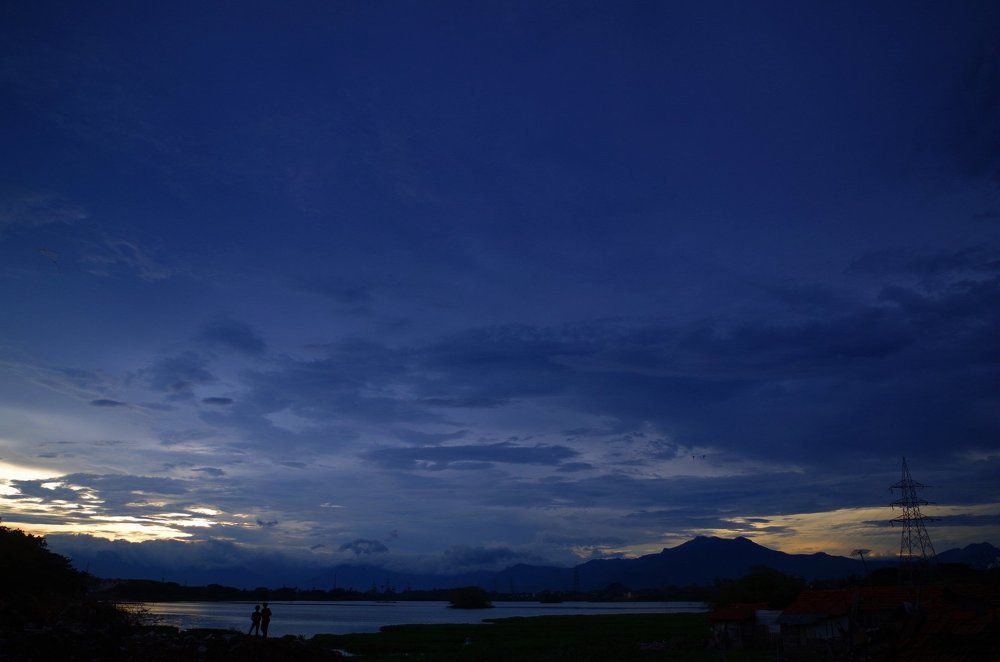 Blue Eve & Two Freiends !