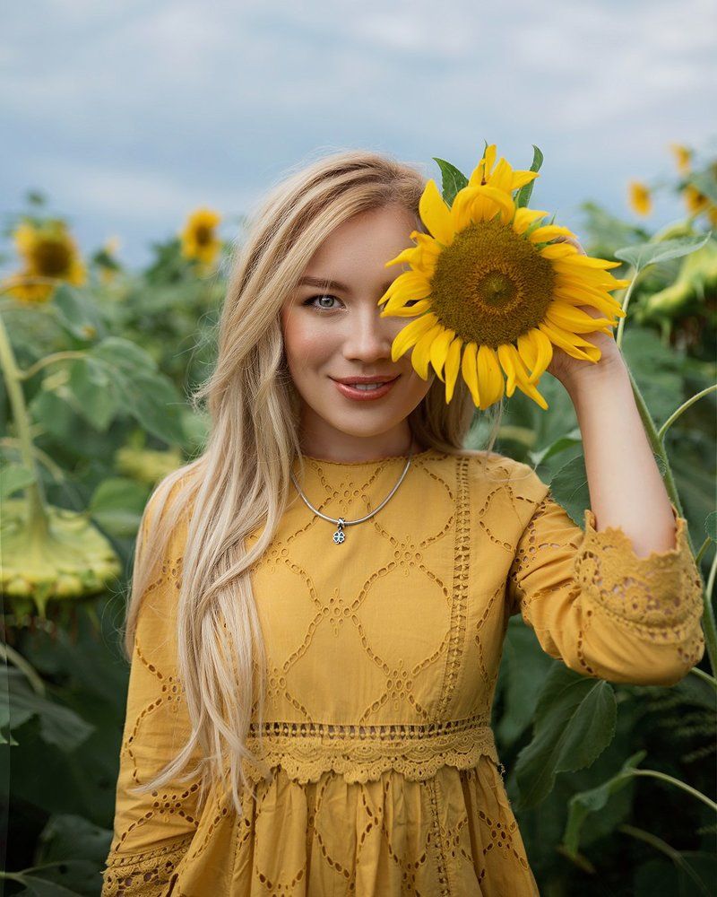 Sunflower