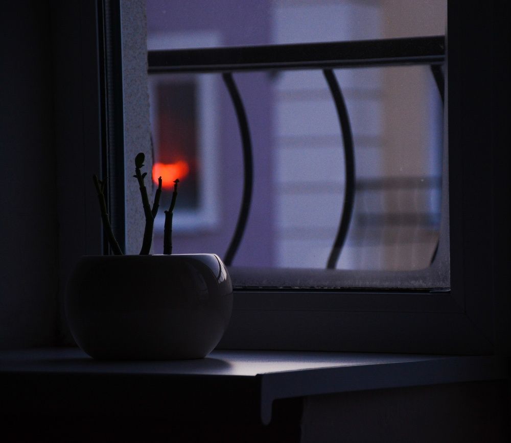 Photograph by Александра