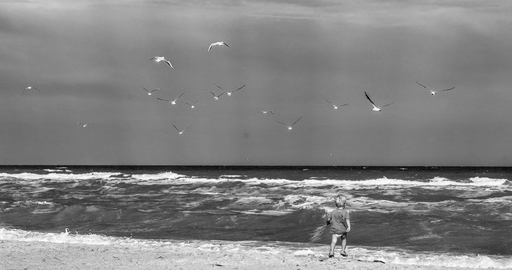 Вслед за чайками