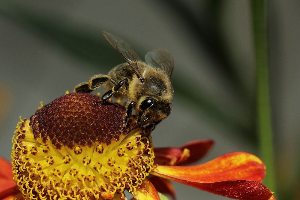 Photograph by Виктор Ноговицин