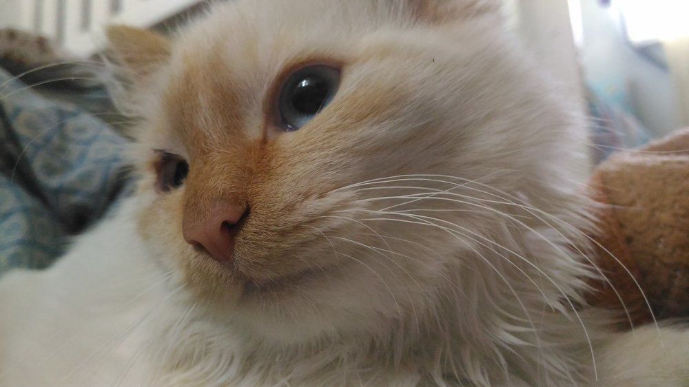 Photograph by Иван Суханкин