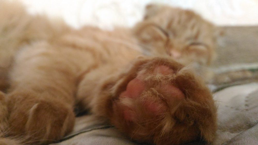 Photograph by Иван Суханкин