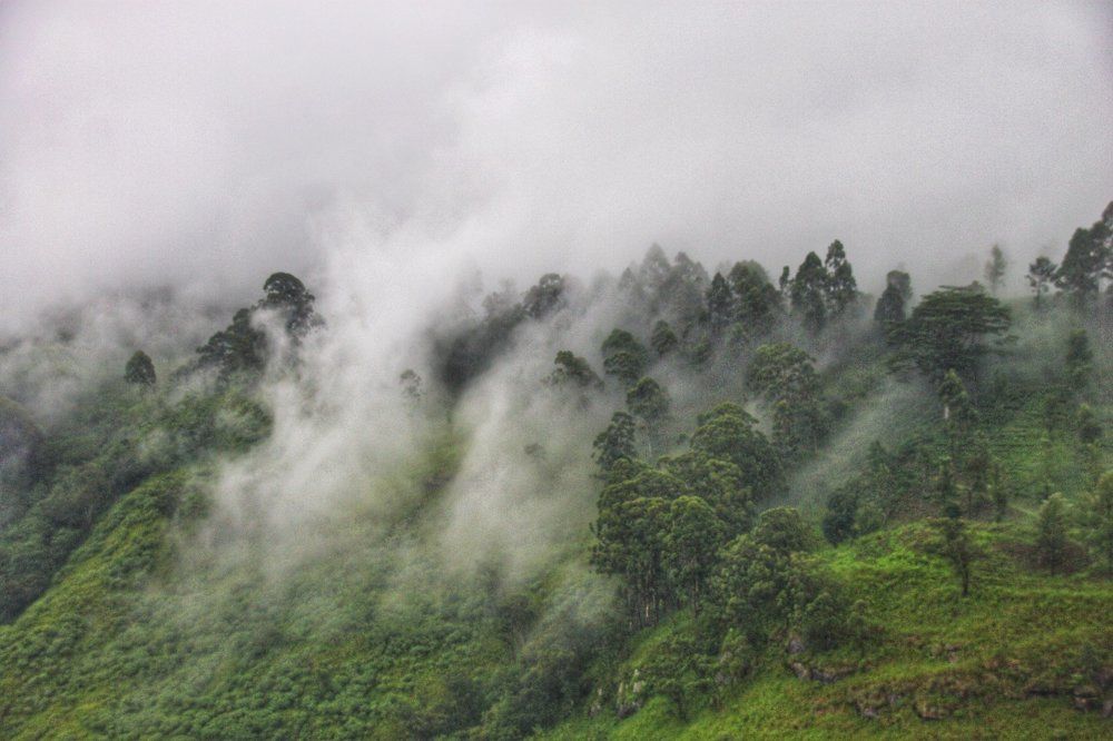 the mystic messenger