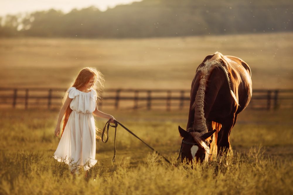 Вечерняя прогулка