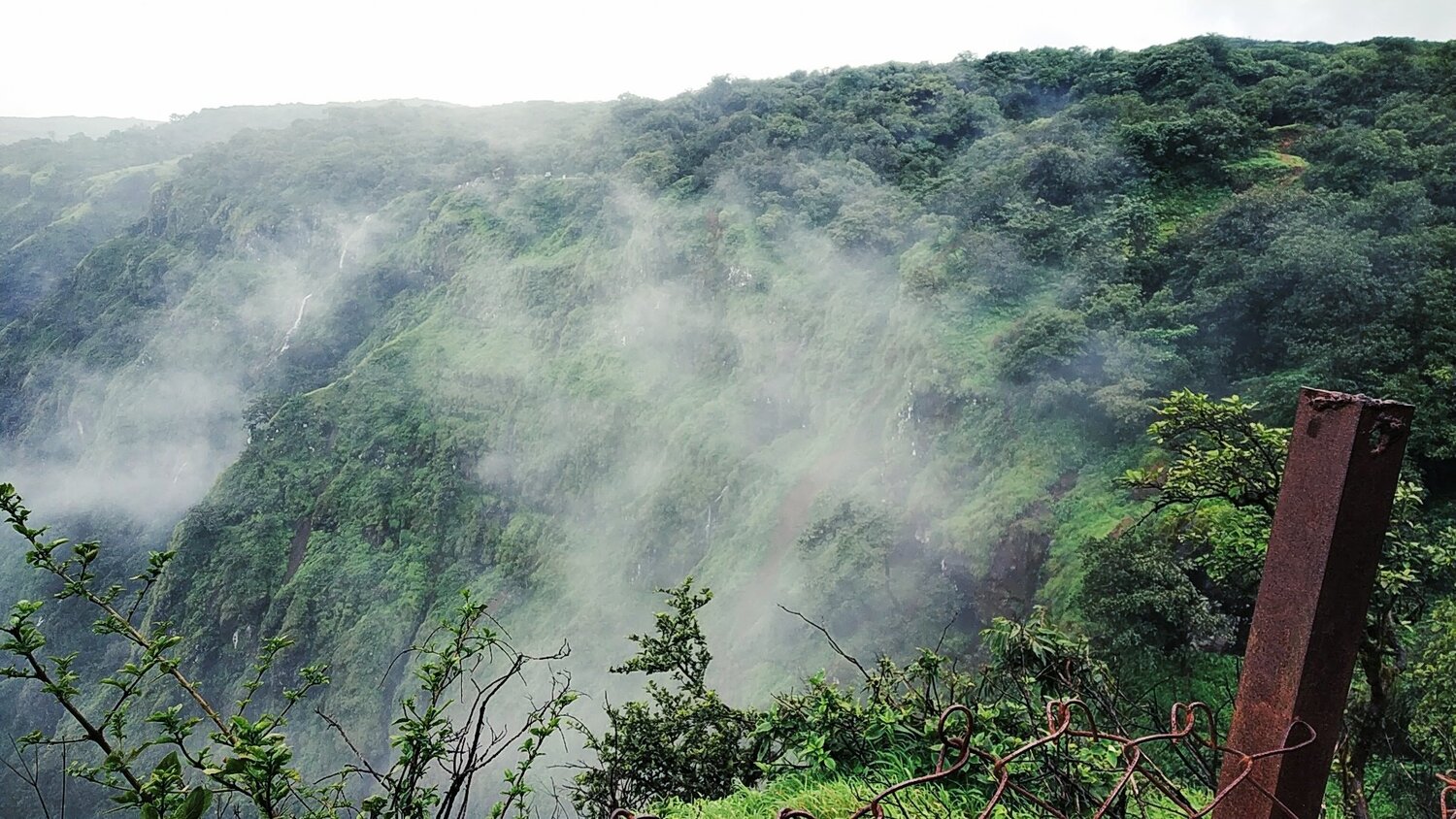 Fog