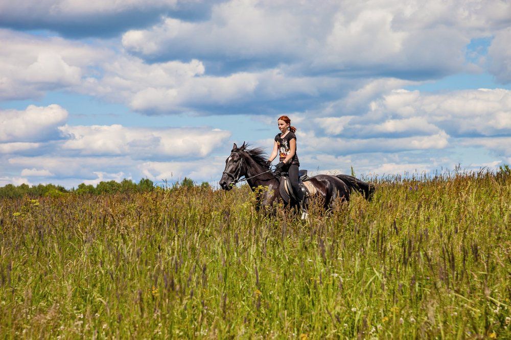 Скачки в поле