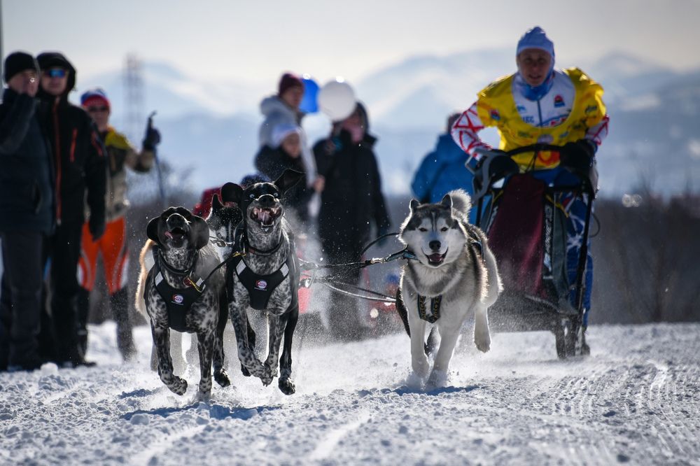 Вперёд к победе!