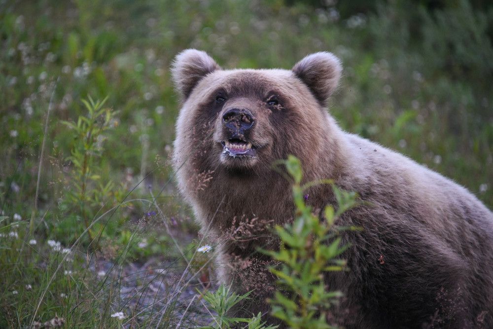 Милая мордашка