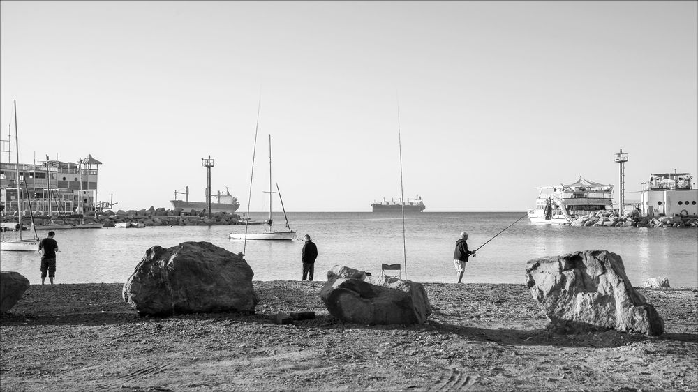 Сибас в этом году особенно хорош