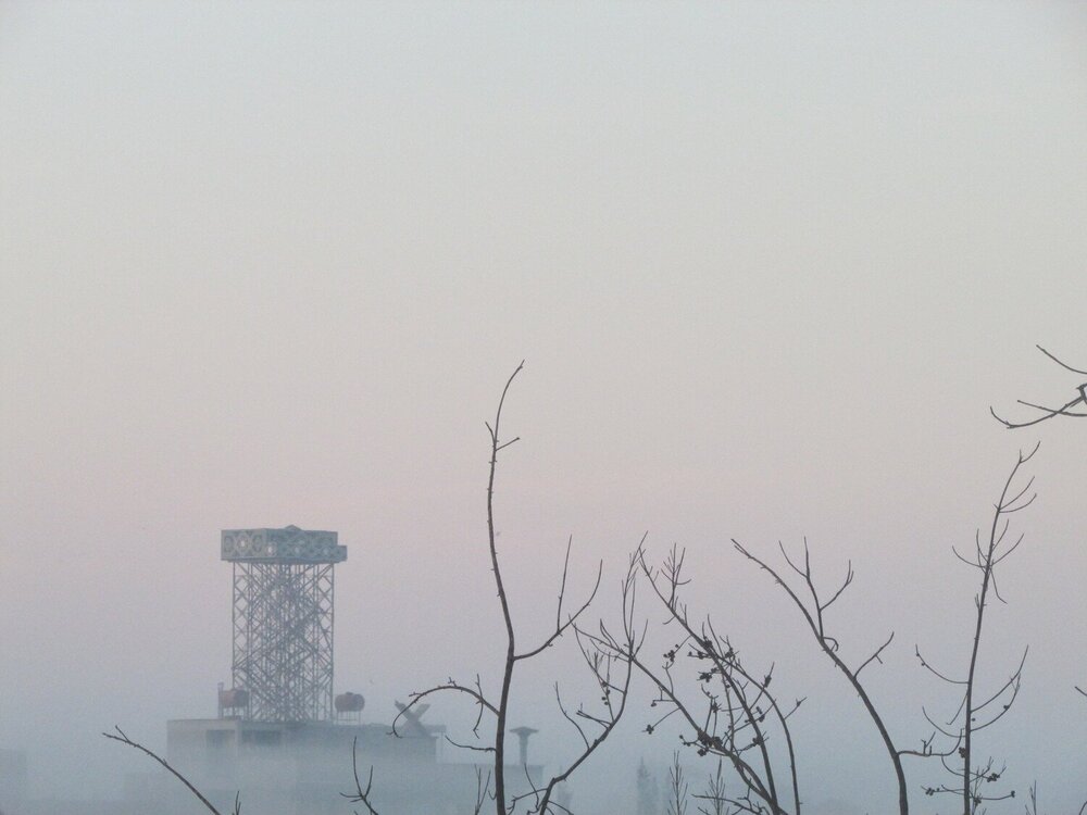 bird tower