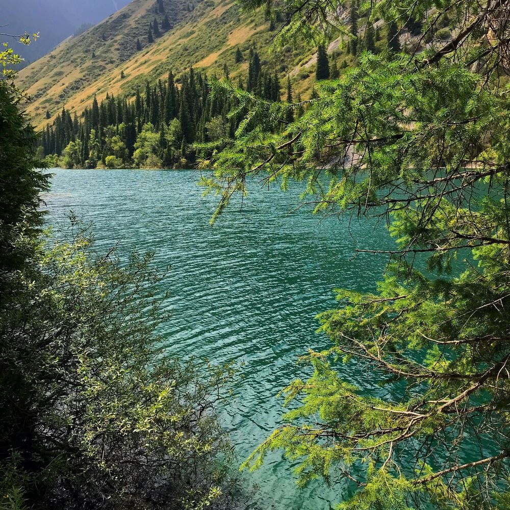 Photograph by Alexandra Kotlyar