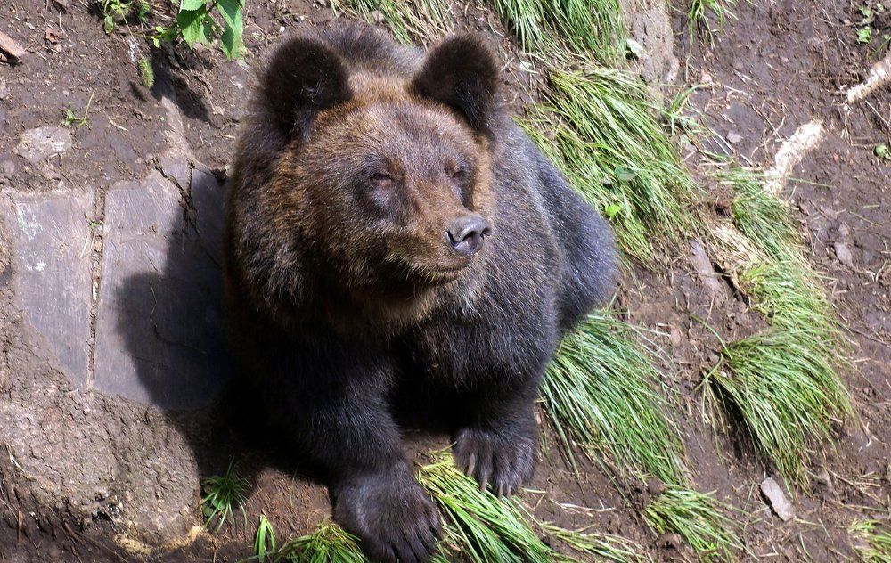 Осеннее тепло.