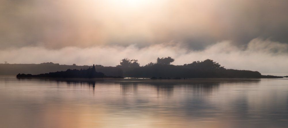 Bluff Fog